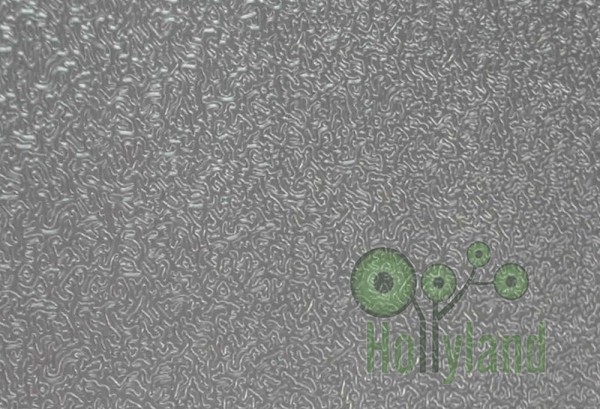 Embossed Coil06