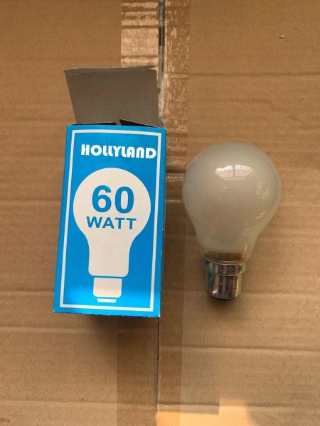 Frosted bulb